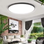 smart ceiling light