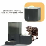 Smart Pet Feeder - Image 2